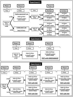 Reducing Effect of Saikosaponin A, an Active Ingredient of Bupleurum falcatum, on Intake of Highly Palatable Food in a Rat Model of Overeating